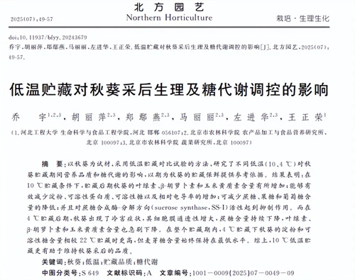细节呈现