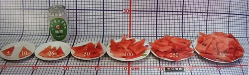 细节介绍