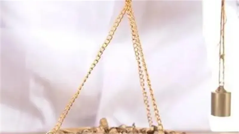 细节介绍