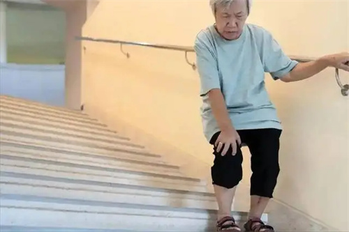 图片细节