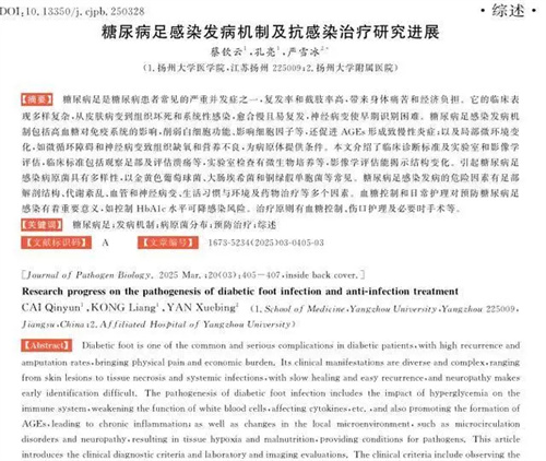 详细说明