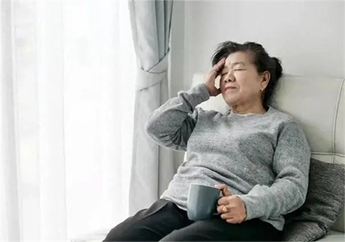 详细介绍