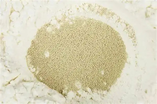 图片细节