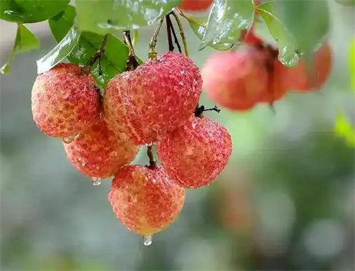 细节介绍
