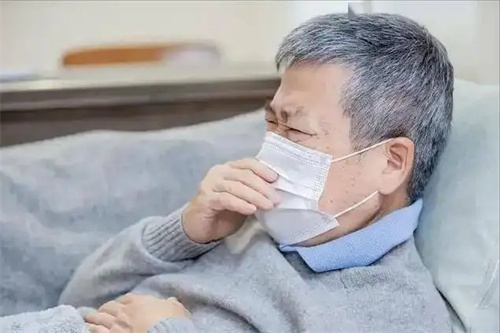 详细介绍
