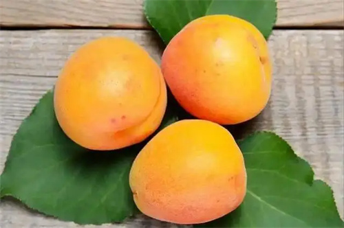细节介绍