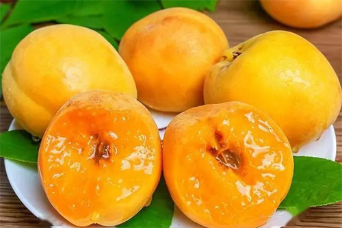 细节介绍