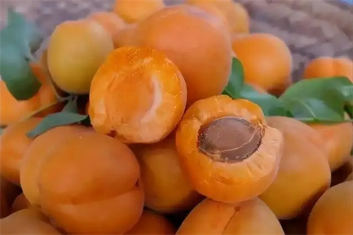 细节呈现