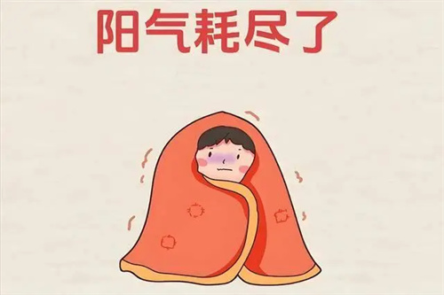 细节呈现