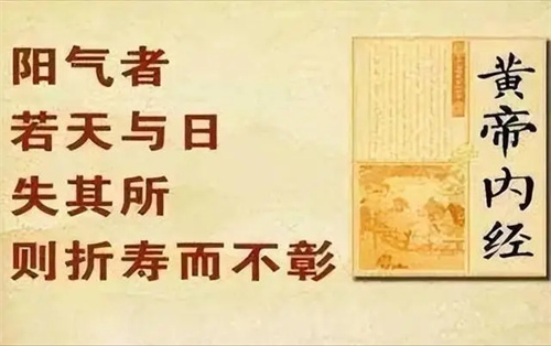 图片细节