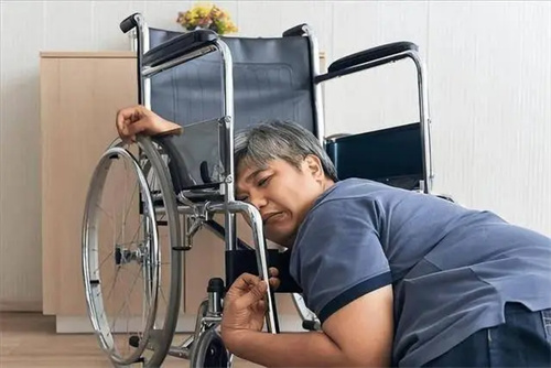 详细介绍