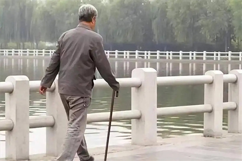 详细介绍