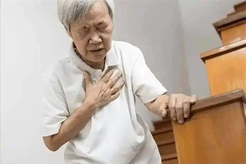 详细介绍