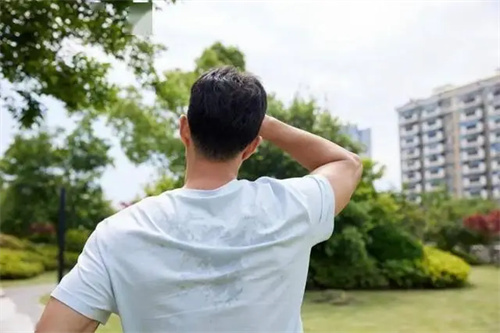 详细说明