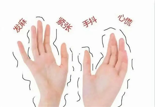 细节介绍