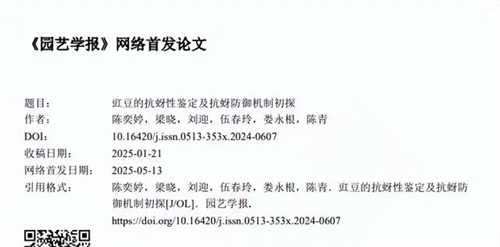 详细展示
