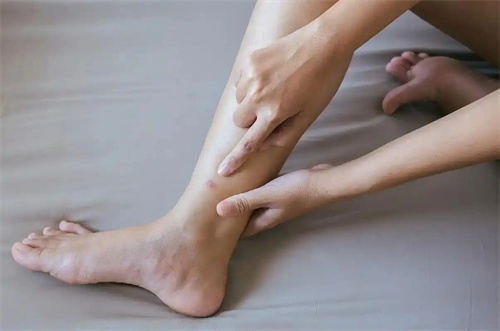 详细说明