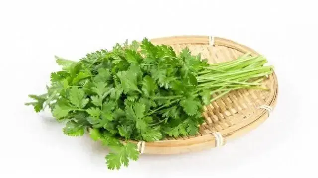 详细说明
