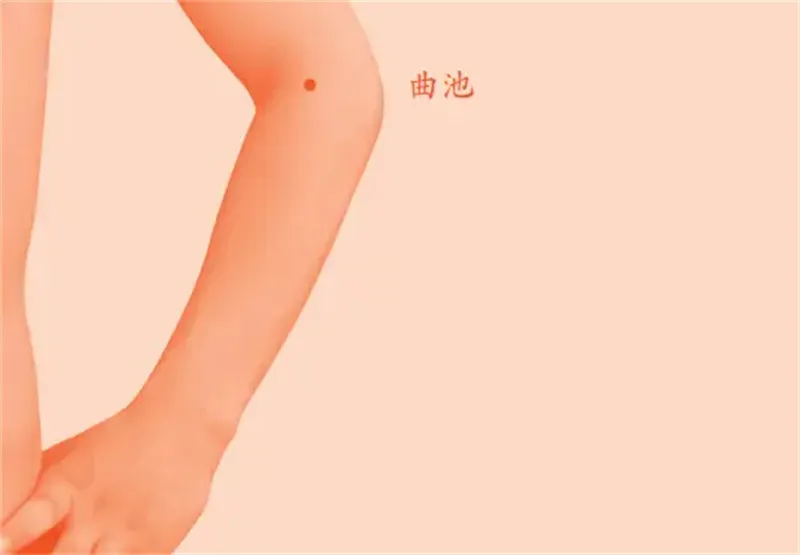详细介绍